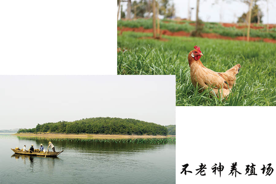 养殖场.jpg