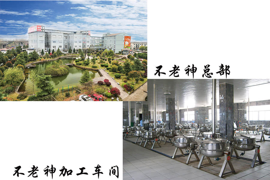 公司.jpg
